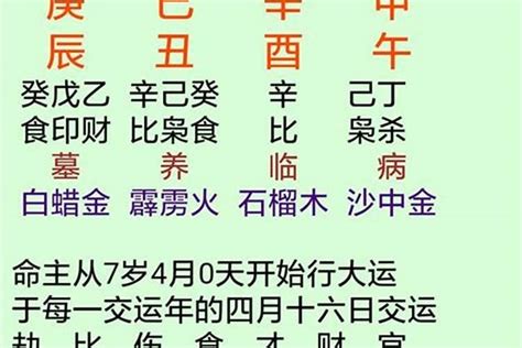 日主甲木|八字命理知识之详解甲木(上篇)